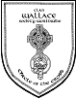 Circle of the Cross pin